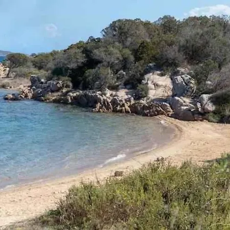 In 44926 Palau
